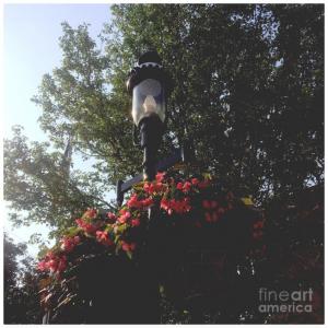 The significance of a light post - by Frank J Casella 